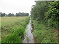 River  Foulness  alongside  field  and  Bubwith  Rail  Trail