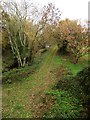 Track bed of former Budleigh Salterton branch