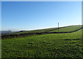 Grazing near Wentworth Farm