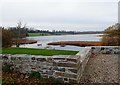 Ballydugan Lake from the car park of the Lakeside Inn