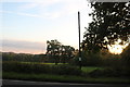 Fields by the A371, Bratton Seymour