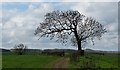 High Ash, South Anston