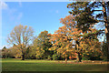 Autumn Colours, Pinner Memorial Park