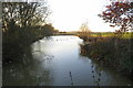 Duck pond near Little Houghton Lodge