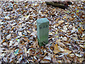 Boundary stone (?), Spring Lane Cemetery