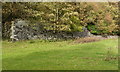 Walled garden at Largo Home Farm