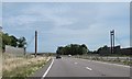 Bat bridge over A11