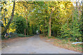 London Borough of Harrow : Driveway