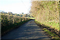 Lane north from Dean Farm