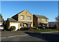 Houses on Netherton Moor Road