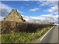 Ruined Farm building