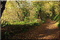 Footpath to Stancombe