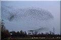 NY3366 : A starling murmuration near Gretna by Walter Baxter