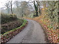 A section of the minor road between Trefechan and Cimwch