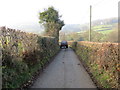 Modern day sheep herding on a section of the minor road between Trefechan and Cimwch