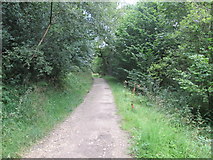 SE5684 : Bridge  Road  (track)  through  Nettle  Dale by Martin Dawes