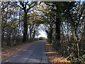 Clarefield Copse