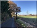 Dumpford Lane near Nyewood