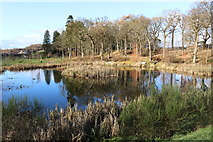 NS5320 : The Pond, Dumfries House Estate by Billy McCrorie