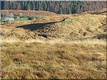 NM4646 : Part of the east bank of Allt a' Choire Bhain near Dervaig, Mull by ian shiell