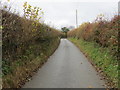 Hedge-lined minor road near the car park for Coed y Fron-wyllt