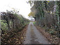 Hedge and tree-lined minor road near Y Bwthyn and Penrhengoed