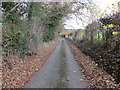 Hedge and tree-lined minor road near Y Bwthyn and Penrhengoed