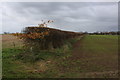 Public Footpath heading North towards Healaugh