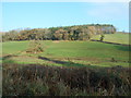 Fields at Allers farm