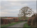 Corrugated iron dutch barn at Chapelknowe