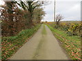 Hedge and tree-lined minor road near Sceibion Bach