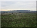 Newly planted woodland below Crow Road