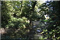 Pond near Pinnerwood Farm