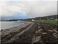 Foreshore near Cairndhu Point