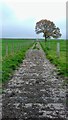 Public Bridleway near Higher Poynton, Cheshire