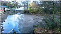 Dam on the Macclesfield Canal