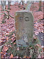 SJ2485 : A Birkenhead Glegg boundary stone on Thurstaston Common by John S Turner