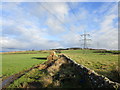 Wall, grassland, bales and power line