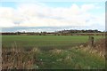 Farmland between Shiremoor and South Wellfield