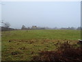 Grazing, Old Pool Bank