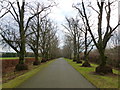 Avenue at the Kerse, Lesmahagow