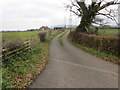 Track to Plas Coch Farm