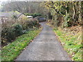 Minor road at Nant bach