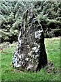 NS0232 : Dunan Beag Standing Stone - Isle of Arran by Raibeart MacAoidh