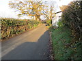 Hedge lined minor road at Llidiat Farm