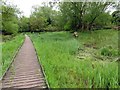 Raised walkway in Lye Valley