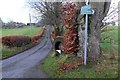 Road to Langlees Farm