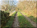 Track to Moel Famau near to Brithdir Mawr