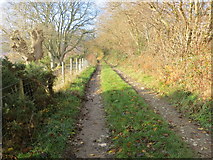 SJ1762 : Track to Moel Famau near to Brithdir Mawr by Peter Wood