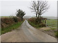 Hedge lined minor road heading towards Bwlch